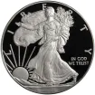 Proof Silver Eagles - Coin Only