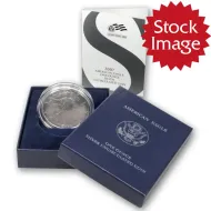 2007 W Burnished American Silver Eagle