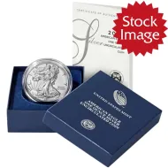 2020 W Burnished American Silver Eagle