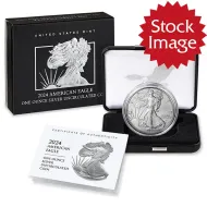 2024 W Burnished American Silver Eagle