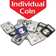 Mixed Dates American Silver Proof Eagle - NGC or PCGS PF 69 - Variety of Holders & Labels