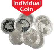 Problem American Silver Eagle - Proof (Coin Only)