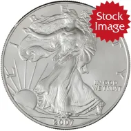 2007 W Burnished American Silver Eagle - No Packaging