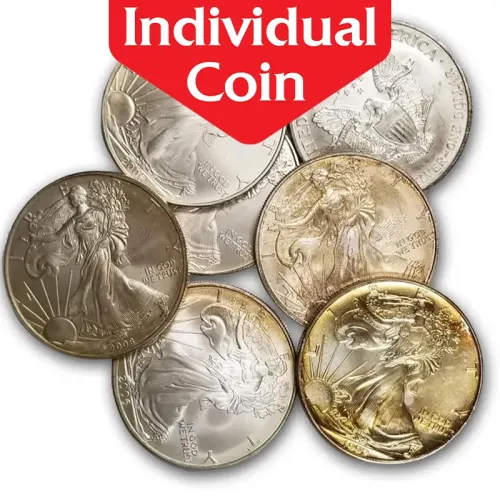 Random Date 1 oz. American Silver Eagle - Problem