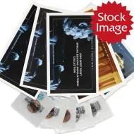 2019 & 2020 W Lincoln Shield Penny & Jefferson Nickel Special Edition Set